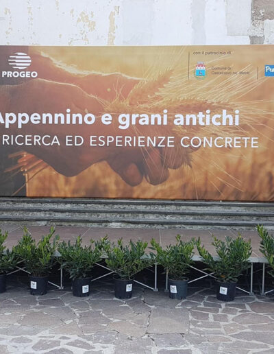 stampa roll to roll MadioPrint